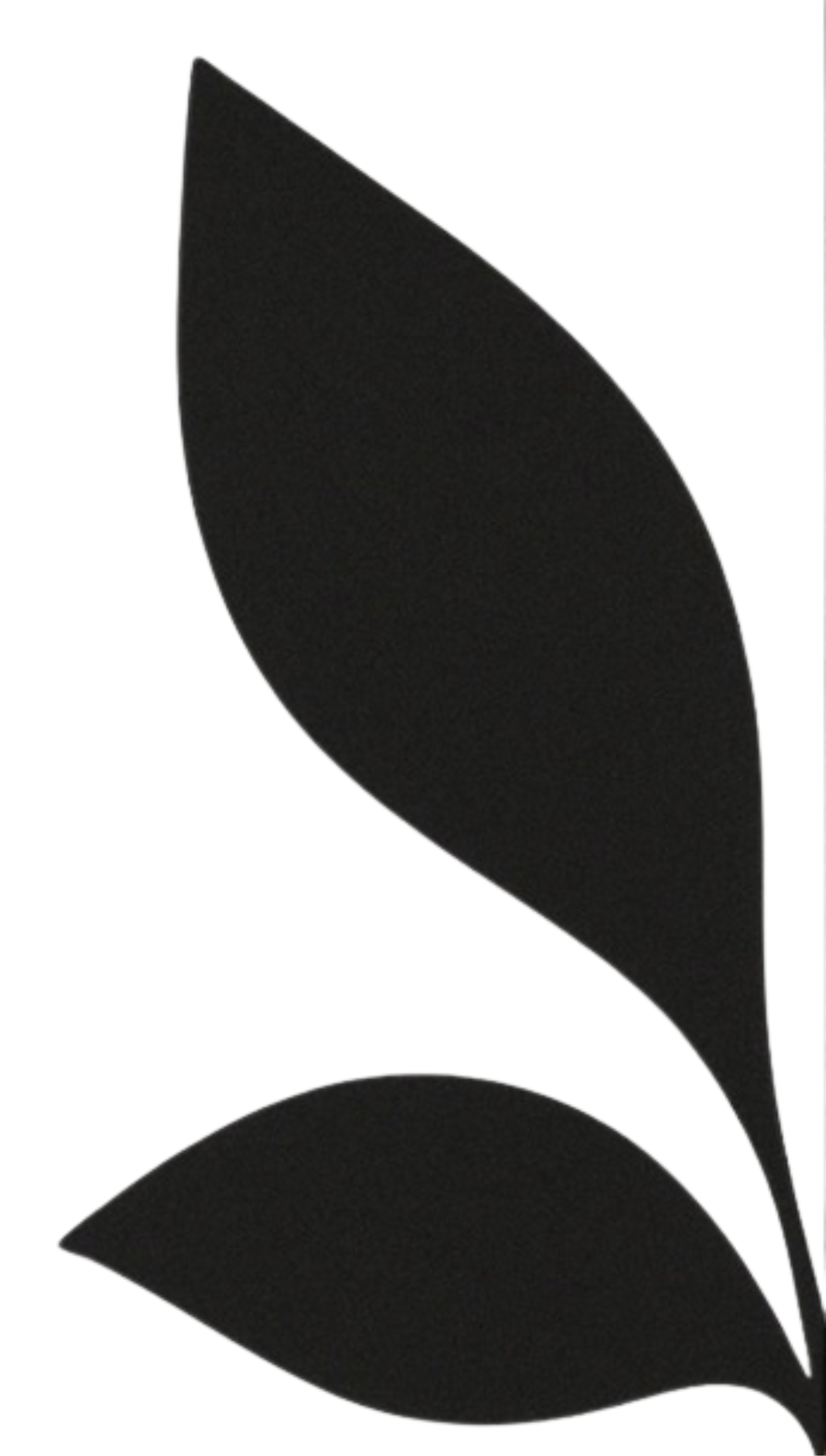 Right decorative image