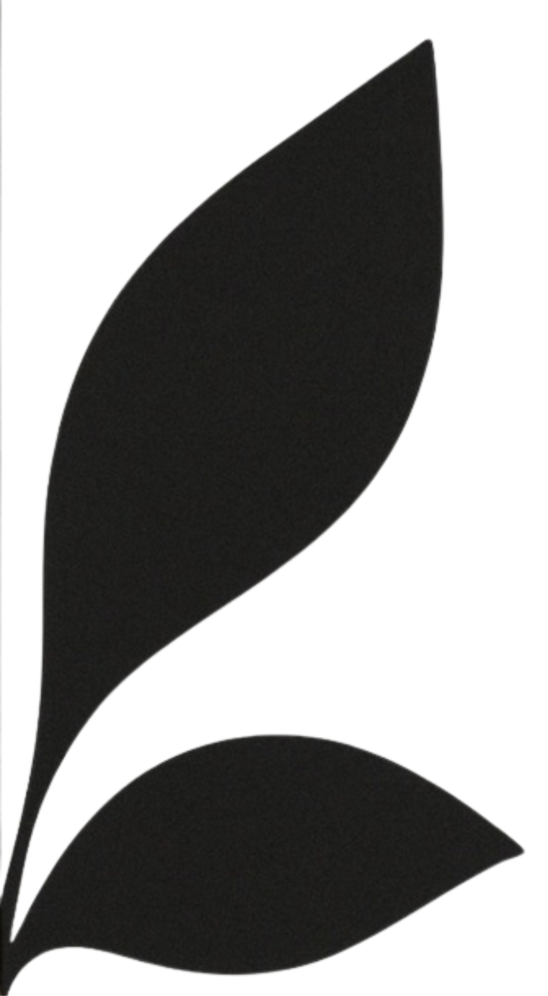 Left decorative image